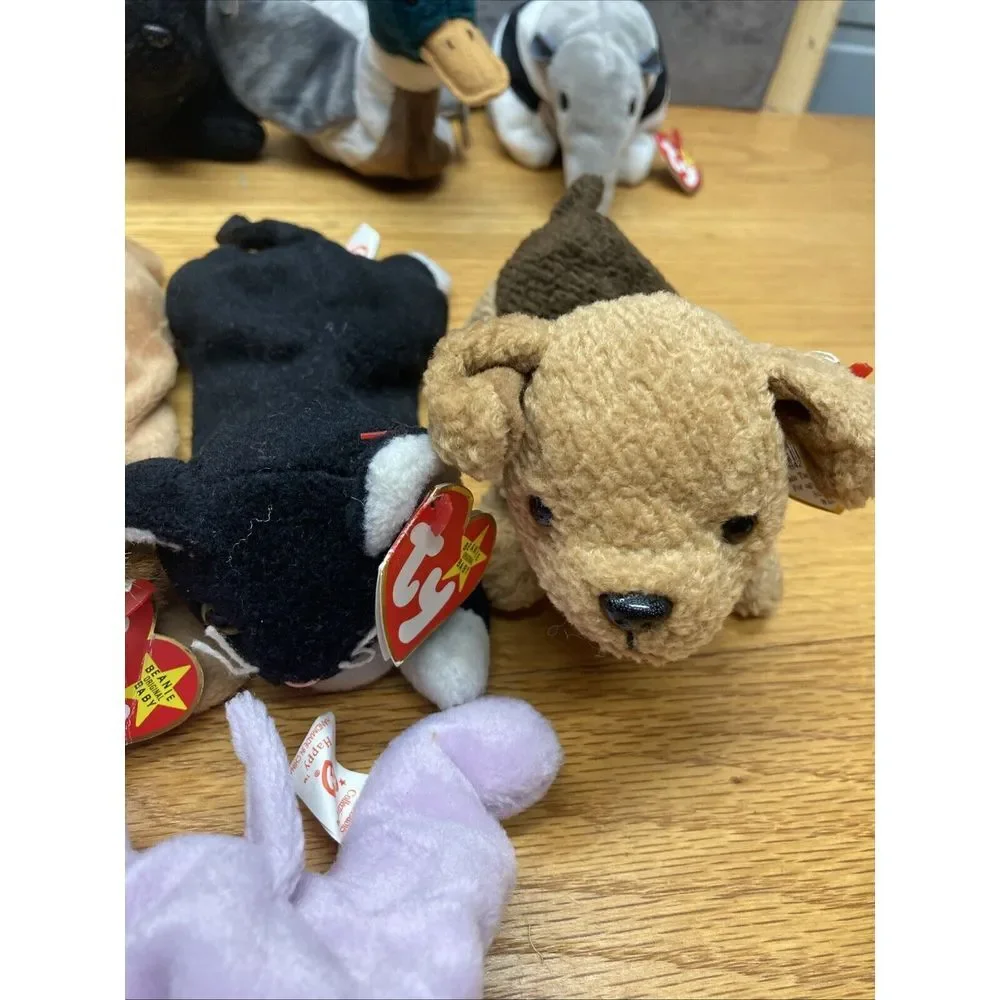 Lot of 20 Beanie Babies With Tags! - All sizes‎ - See Pictures-